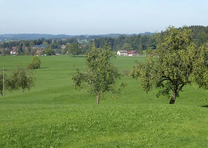 Landhof Zitzler Apartmán Opfenbach